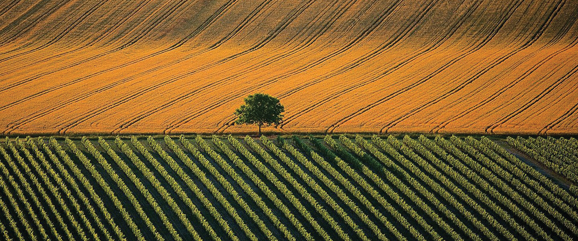 img_1920x800px_Genericas_Agricola