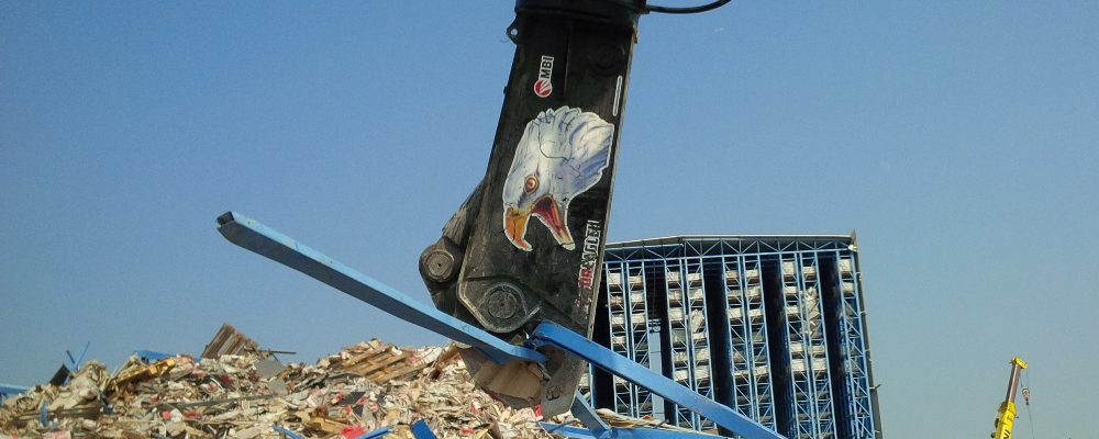 mantovanibenne_eagle